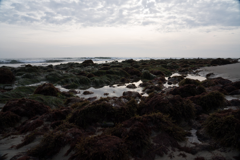 1/800 seconds, f/5.6, 250, unedited